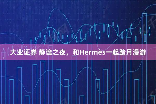 大业证券 静谧之夜，和Hermès一起踏月漫游