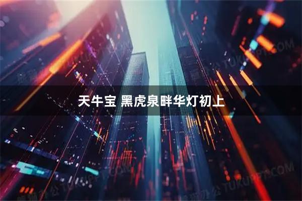 天牛宝 黑虎泉畔华灯初上